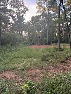 0.29 Acres of Residential Land for Sale in Hemphill, Texas