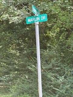 0.33 Acres of Residential Land for Sale in Hemphill, Texas