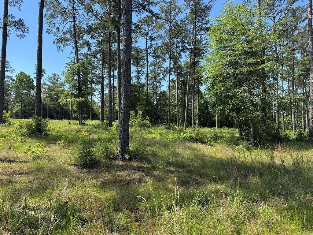 1 Acre of Residential Land for Sale in Brookeland, Texas