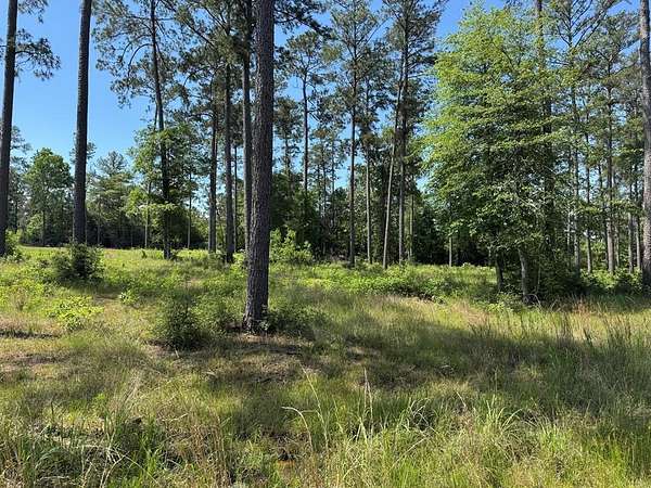 1 Acre of Residential Land for Sale in Brookeland, Texas