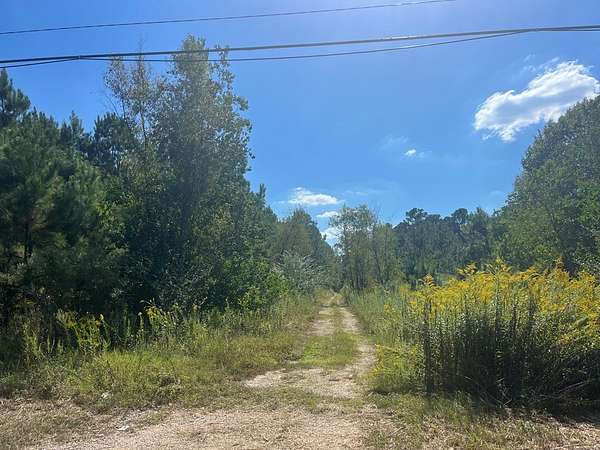 11 Acres of Land for Sale in Diboll, Texas
