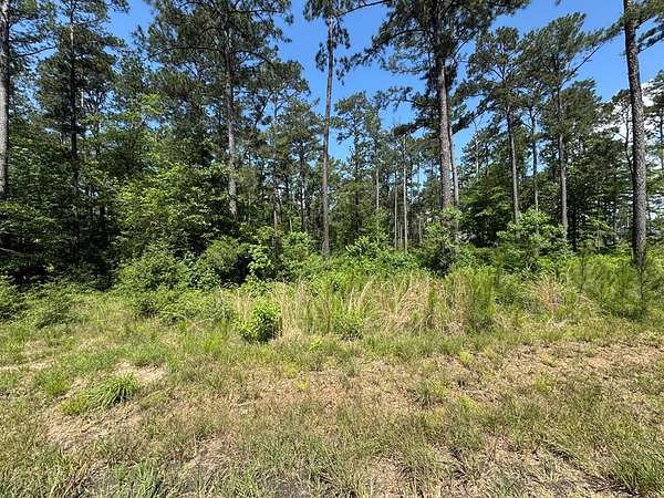 1.4 Acres of Residential Land for Sale in Brookeland, Texas