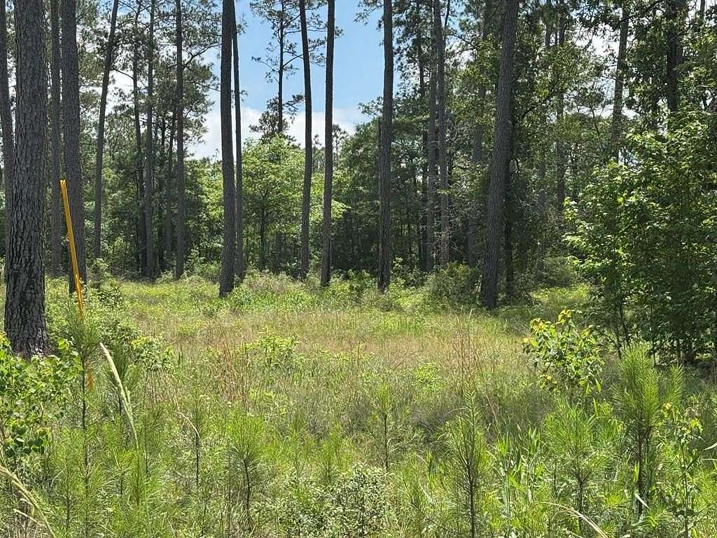 1.31 Acres of Residential Land for Sale in Brookeland, Texas