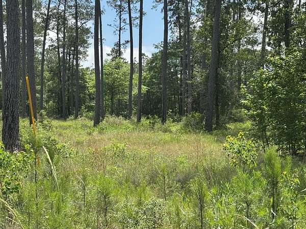 1.31 Acres of Residential Land for Sale in Brookeland, Texas
