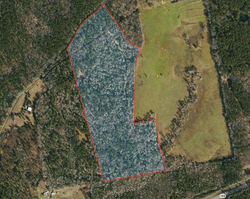 48.5 Acres of Recreational & Residential Land for Sale in San Augustine, Texas