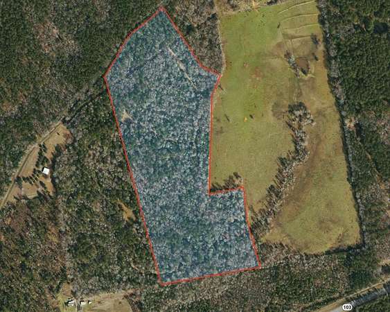48.5 Acres of Recreational & Residential Land for Sale in San Augustine, Texas