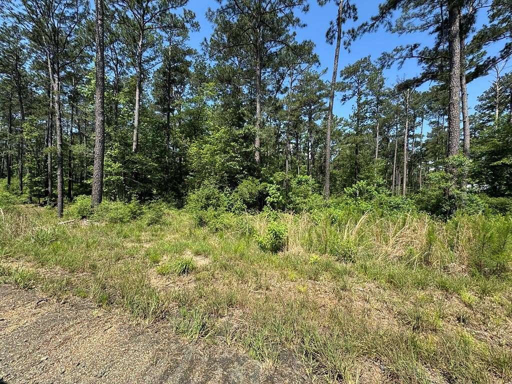 1 Acre of Residential Land for Sale in Brookeland, Texas