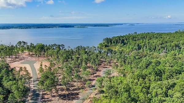 1 Acre of Residential Land for Sale in Pineland, Texas