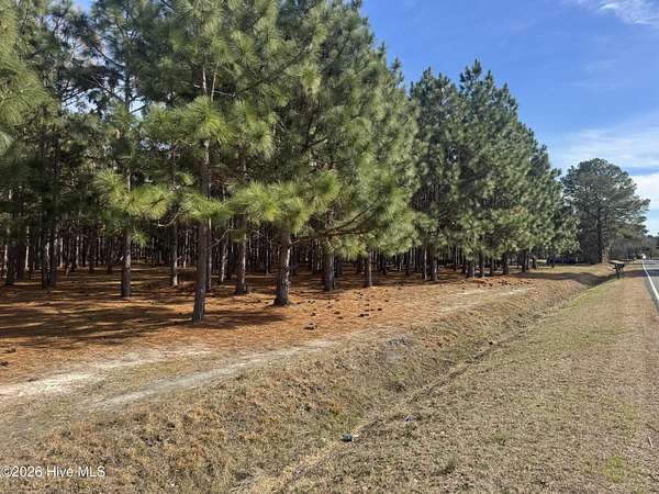 10 Acres of Residential Land for Sale in Bladenboro, North Carolina