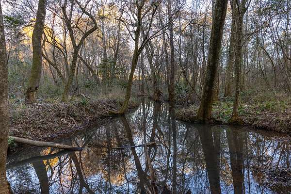 27.7 Acres of Recreational & Residential Land for Sale in Coffee Springs, Alabama