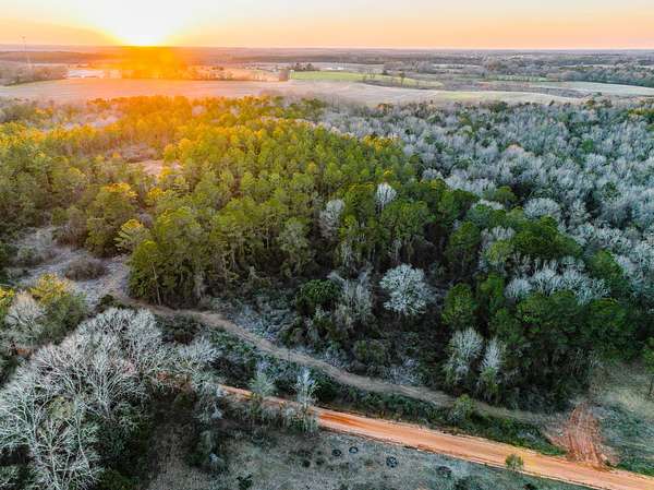 30 Acres of Recreational & Residential Land for Sale in Coffee Springs, Alabama