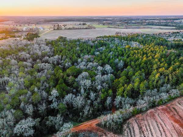 30 Acres of Recreational & Residential Land for Sale in Coffee Springs, Alabama