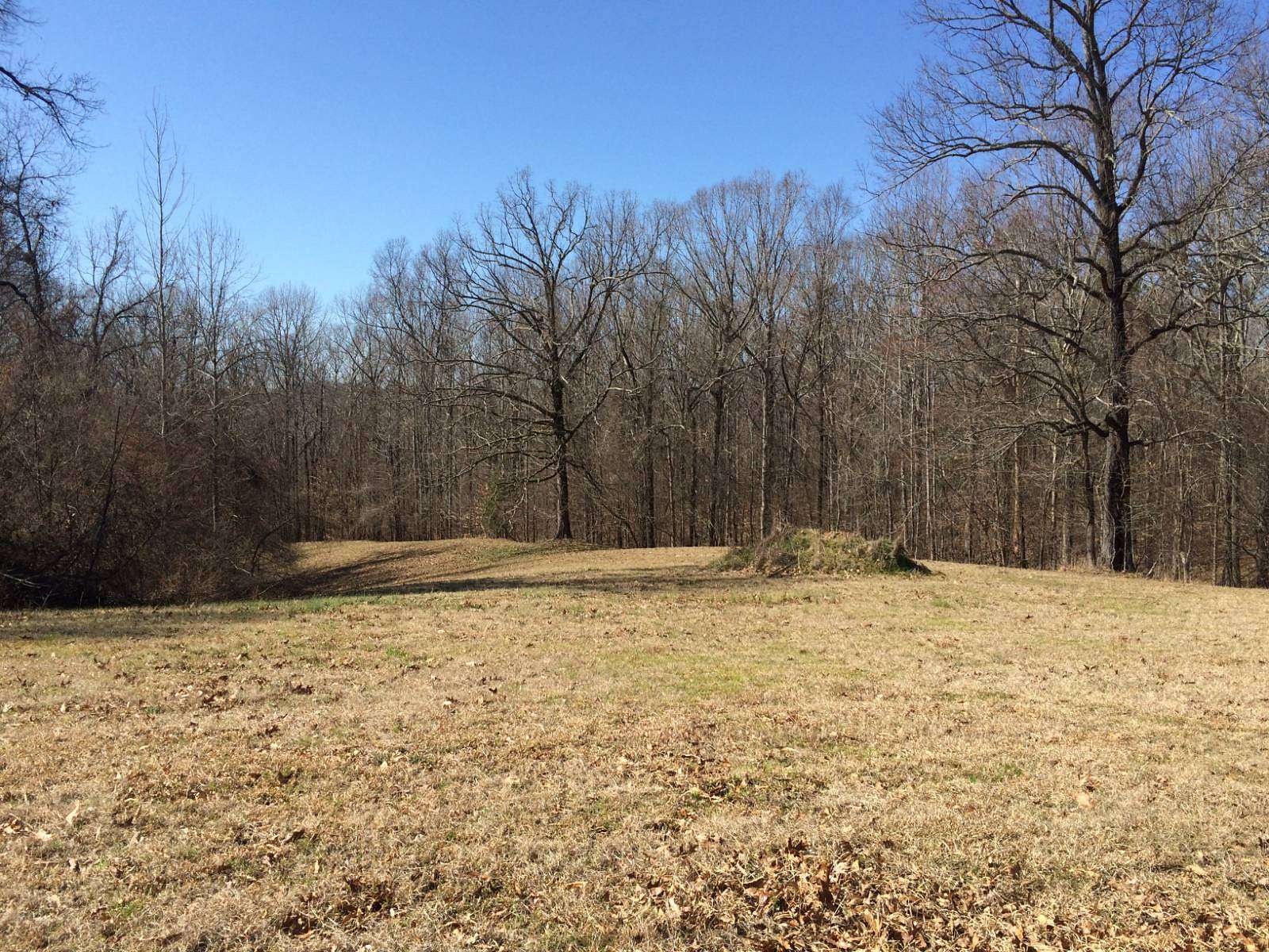12 Acres of Land for Sale in Greenwood, Mississippi
