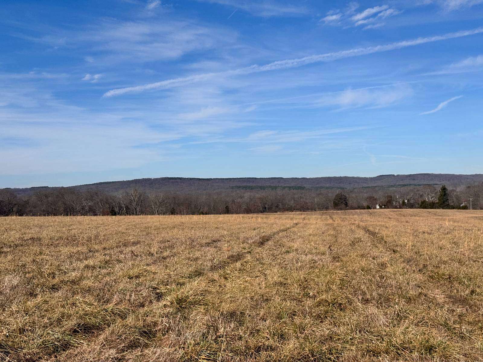 7 Acres of Agricultural Land for Sale in Golconda, Illinois