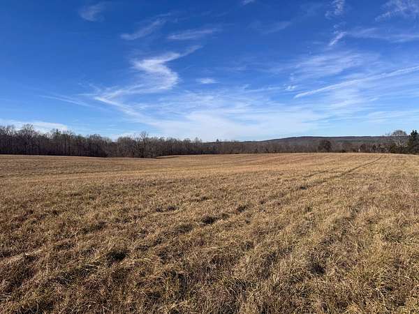 7 Acres of Agricultural Land for Sale in Golconda, Illinois