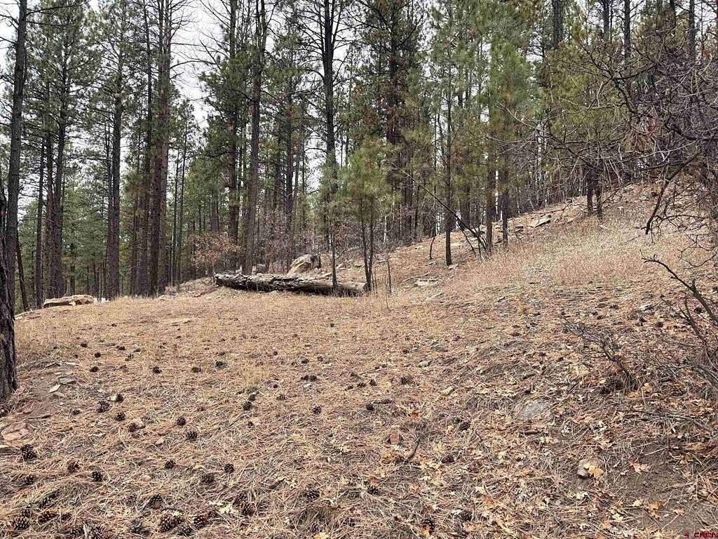 1 Acre of Residential Land for Sale in Bayfield, Colorado