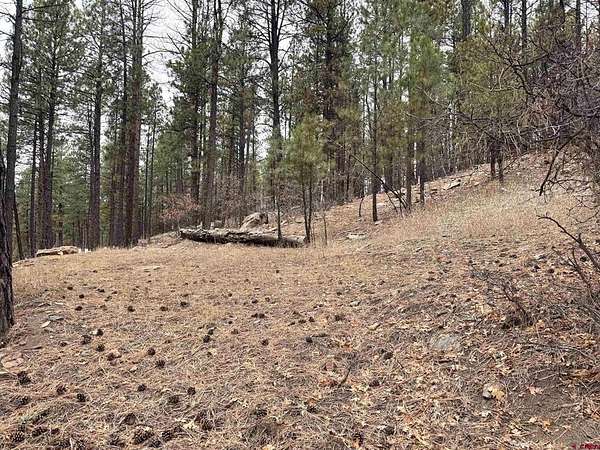 1 Acre of Residential Land for Sale in Bayfield, Colorado