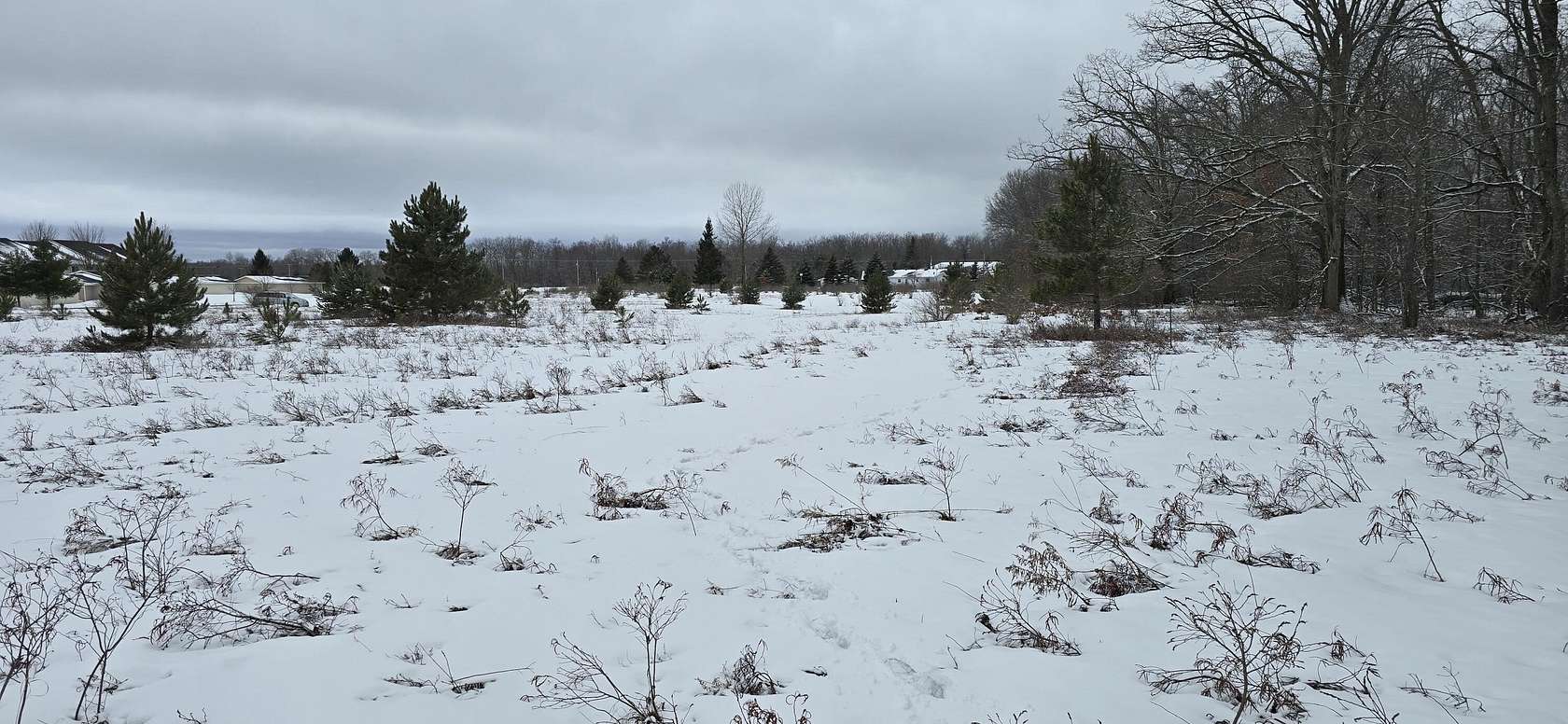22.1 Acres of Land for Sale in Roscommon, Michigan