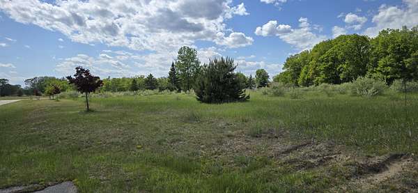 22.1 Acres of Land for Sale in Roscommon, Michigan
