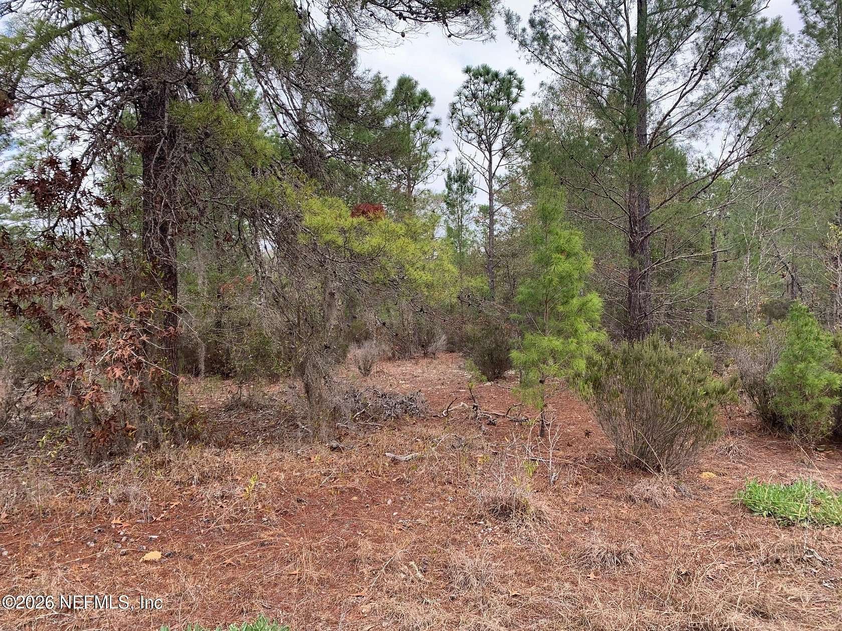 0.42 Acres of Land for Sale in Interlachen, Florida