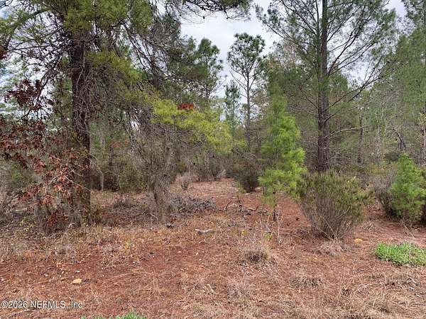 0.42 Acres of Land for Sale in Interlachen, Florida