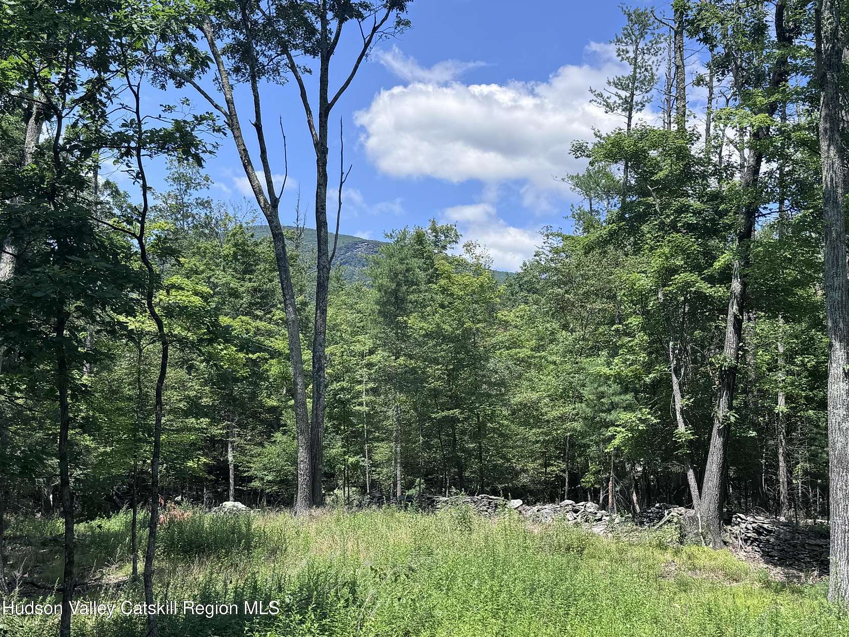 5.26 Acres of Residential Land for Sale in Saugerties, New York