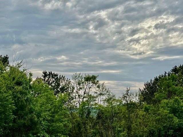 1.64 Acres of Land for Sale in Ellijay, Georgia