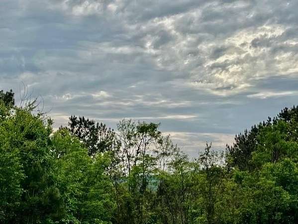 1.64 Acres of Land for Sale in Ellijay, Georgia