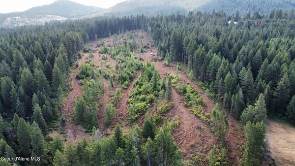 12 Acres of Land for Sale in St. Maries, Idaho