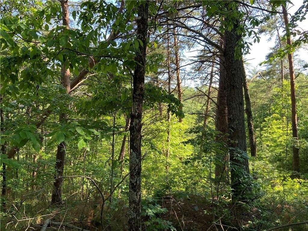 1.19 Acres of Residential Land for Sale in Ranger, Georgia