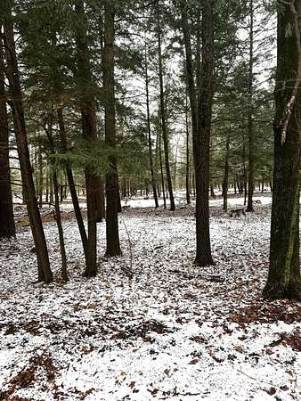 52.4 Acres of Recreational & Residential Land for Sale in Knowlton Town, Wisconsin