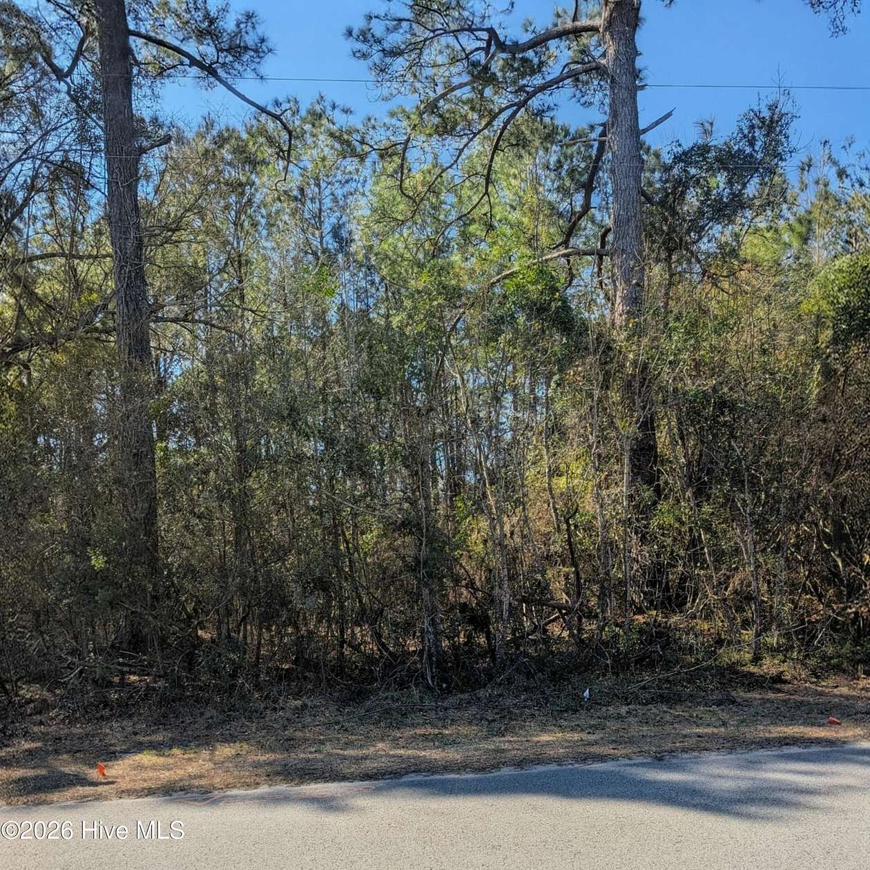 0.38 Acres of Land for Sale in Leland, North Carolina