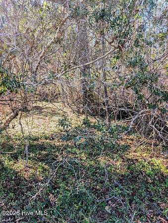 0.38 Acres of Land for Sale in Leland, North Carolina