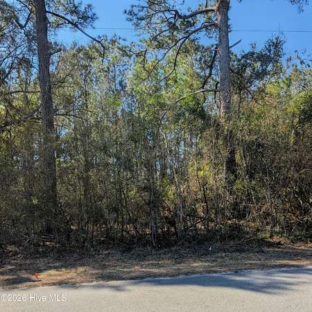 0.38 Acres of Land for Sale in Leland, North Carolina