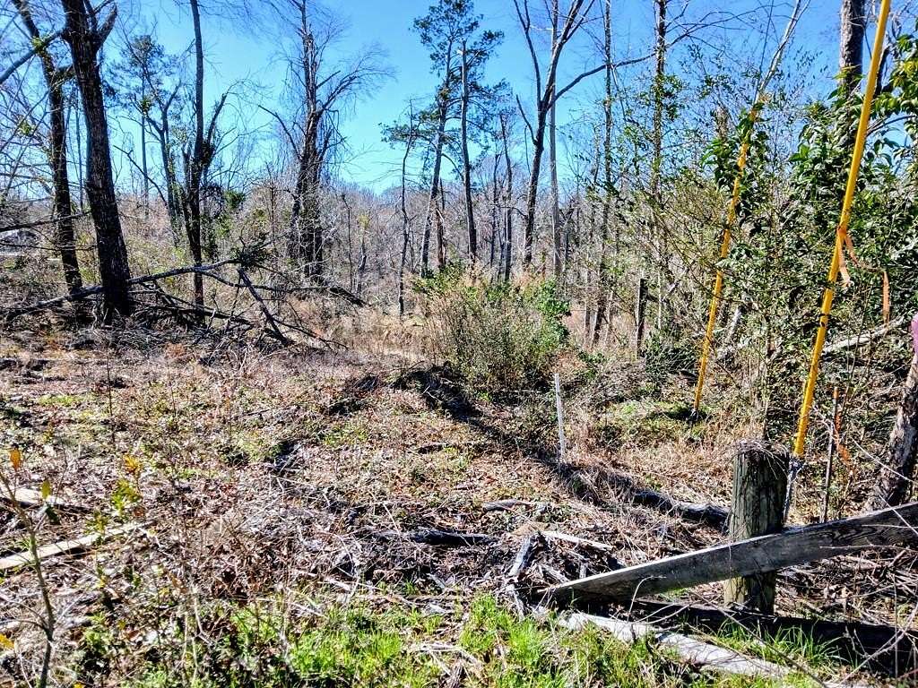 0.32 Acres of Residential Land for Sale in Uvalda, Georgia