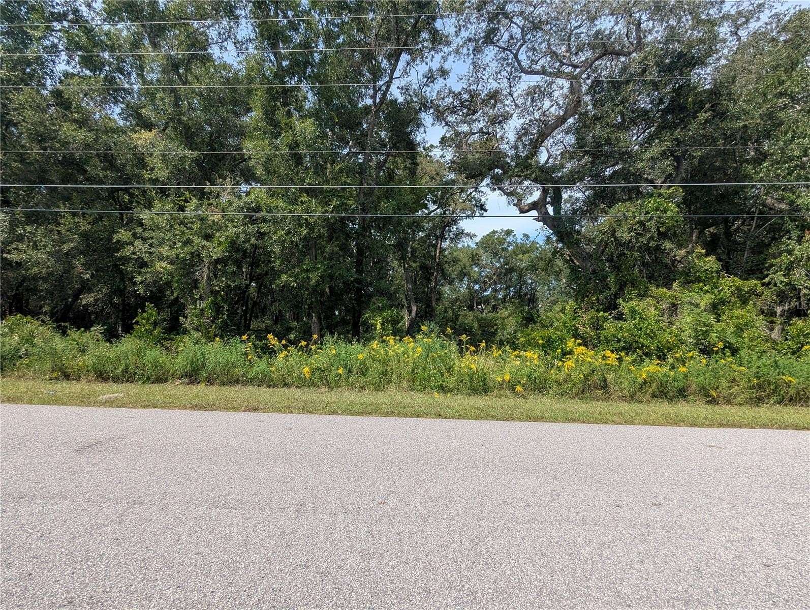 1.88 Acres of Residential Land for Sale in Summerfield, Florida