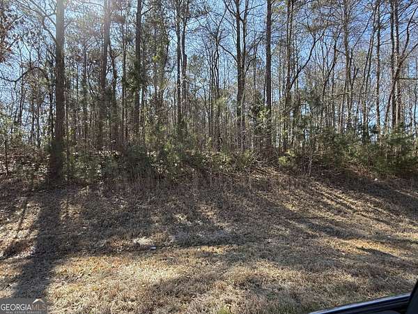10.1 Acres of Land for Sale in LaGrange, Georgia