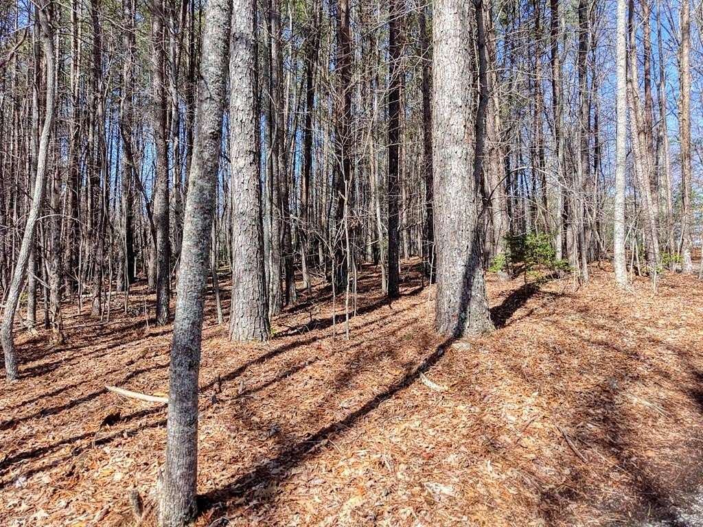 3 Acres of Residential Land for Sale in Blairsville, Georgia
