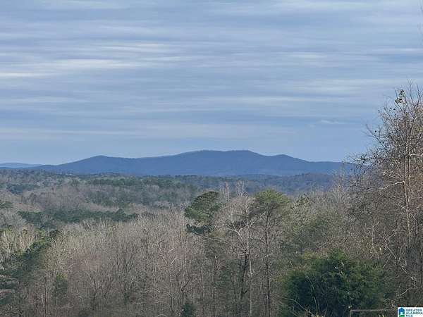 25 Acres of Agricultural Land with Home for Sale in Cropwell, Alabama