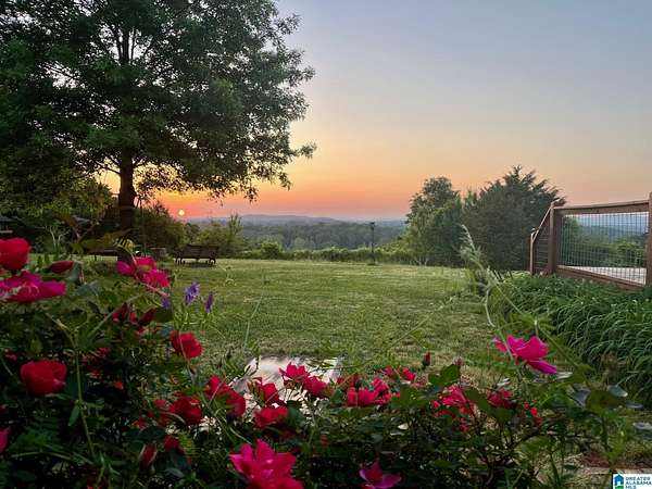 25 Acres of Agricultural Land with Home for Sale in Cropwell, Alabama