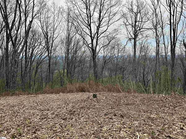 6.4 Acres of Residential Land for Sale in Landrum, South Carolina