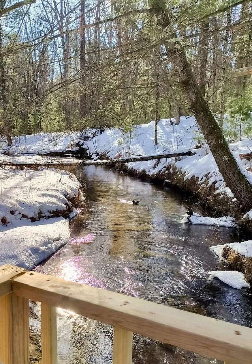 20 Acres of Recreational Land with Home for Sale in Chase, Michigan