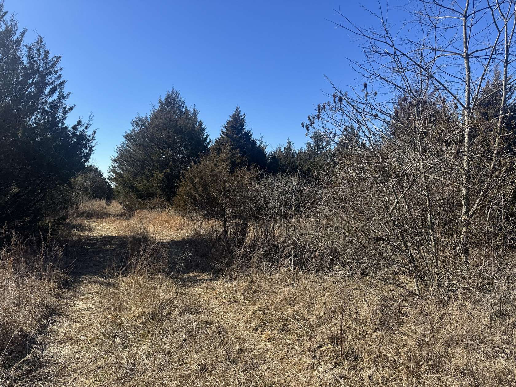 68.2 Acres of Recreational Land for Sale in Arcola, Missouri