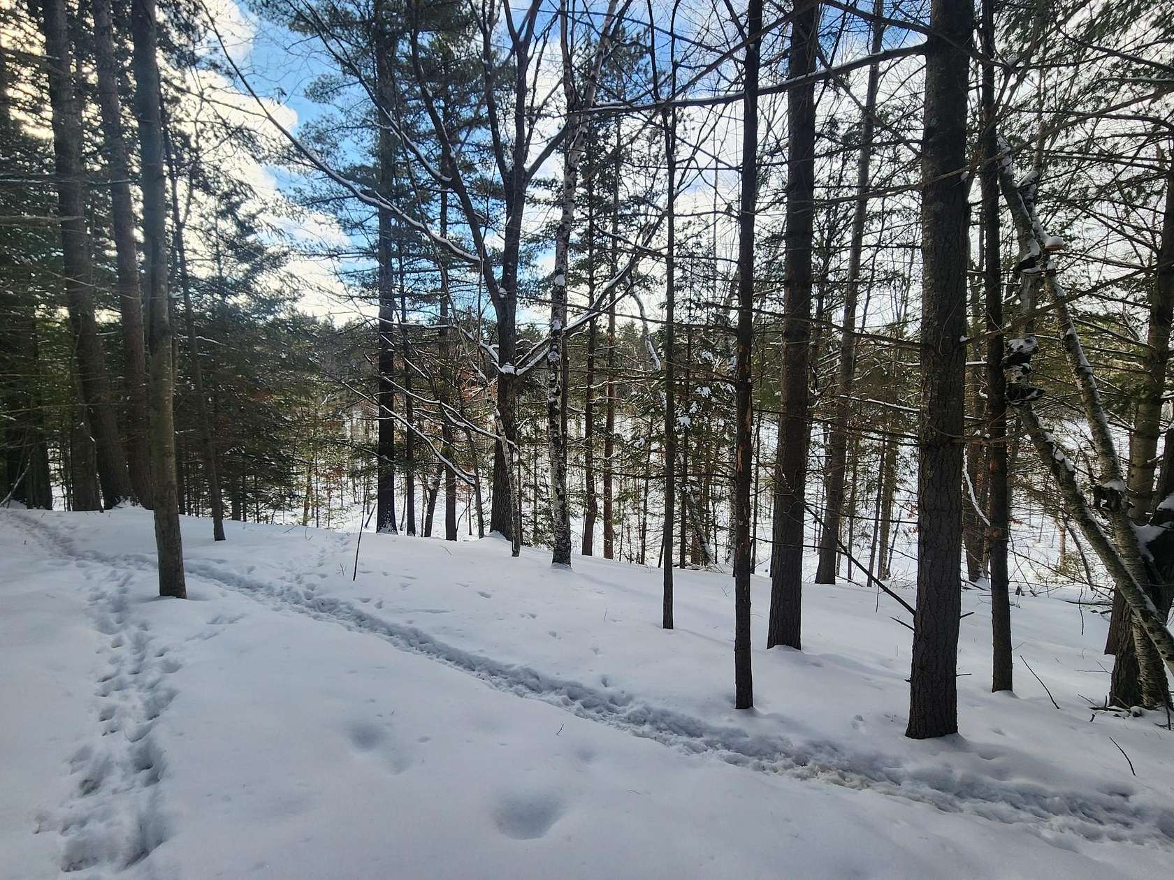 0.72 Acres of Land for Sale in Hazelhurst, Wisconsin