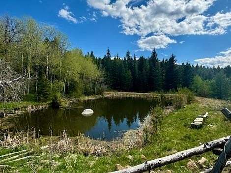 39 Acres of Recreational Land for Sale in Anaconda, Montana