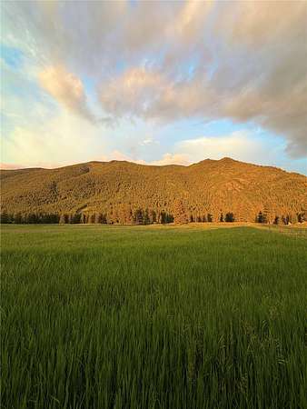 2 Acres of Residential Land for Sale in Columbia Falls, Montana