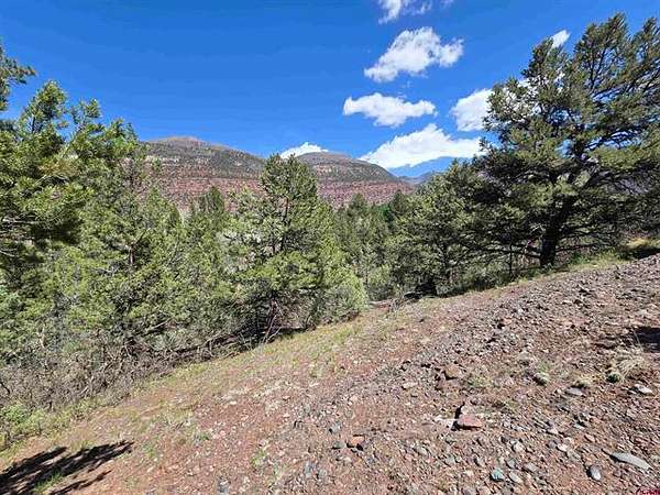 1 Acre of Residential Land for Sale in Ridgway, Colorado