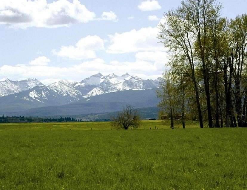 6.75 Acres of Land for Sale in Hamilton, Montana