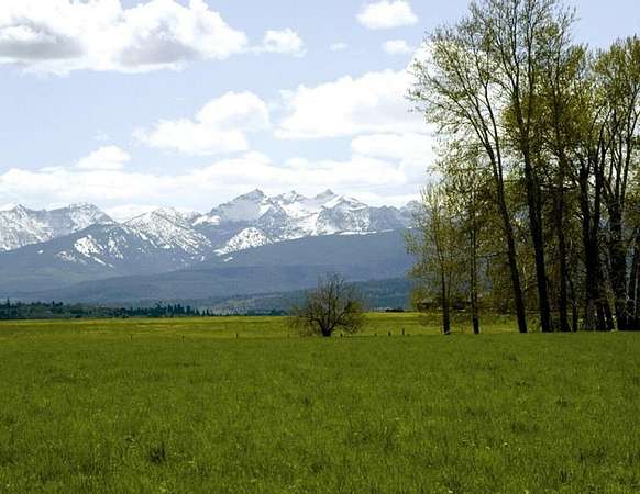 6.75 Acres of Land for Sale in Hamilton, Montana