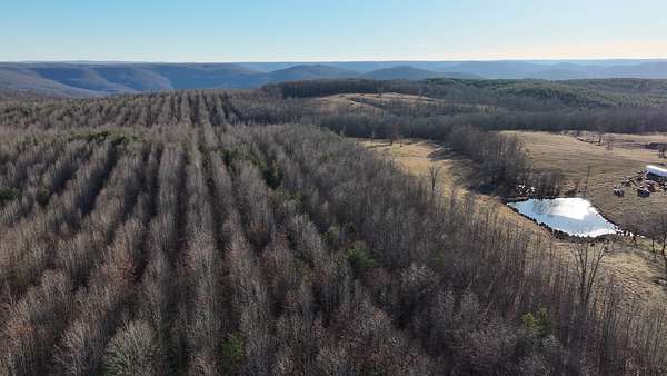 291 Acres of Recreational & Residential Land for Sale in McMinnville, Tennessee